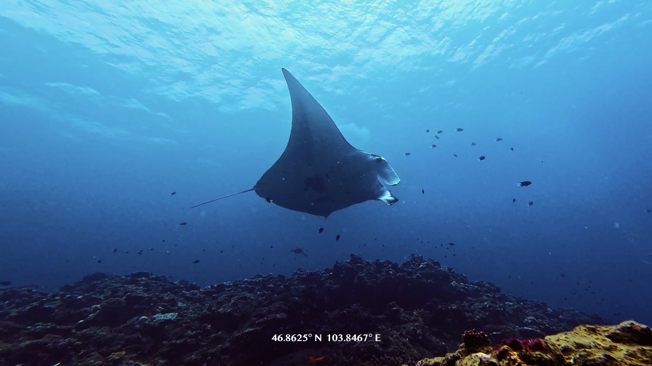 [4K ASMR] 이시가키 스쿠버 다이빙 바다 소리 🌊 15분 | Track.Earth 🌏