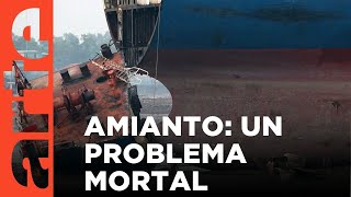 Amianto: la historia interminable | ARTE.tv Documentales by ARTE.tv Documentales 6,948 views 2 weeks ago 1 hour, 32 minutes