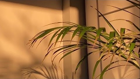 [القارئ/عبدالعزيز سحيم] {وَزَكَرِيَّا إِذْ نَادَىٰ رَبَّهُ رَبِّ لَا تَذَرْنِي فَرْدًا}