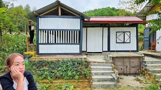 Download Lagu I Painted My Wooden House | Peaceful Life Turned Sad When My Beloved Dog Went Missing MP3 Download Lagu I Painted My Wooden House | Peaceful Life Turned Sad When My Beloved Dog Went Missing MP3