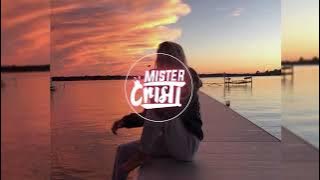 Cai Verzi Pe Pereti (Remix) Tik Tok Music