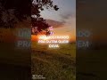 linda música 🎸