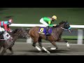 【スパーキングレディーカップ2026】タガノミストが交流重賞初勝利‼ ウイニングラン 現地映像