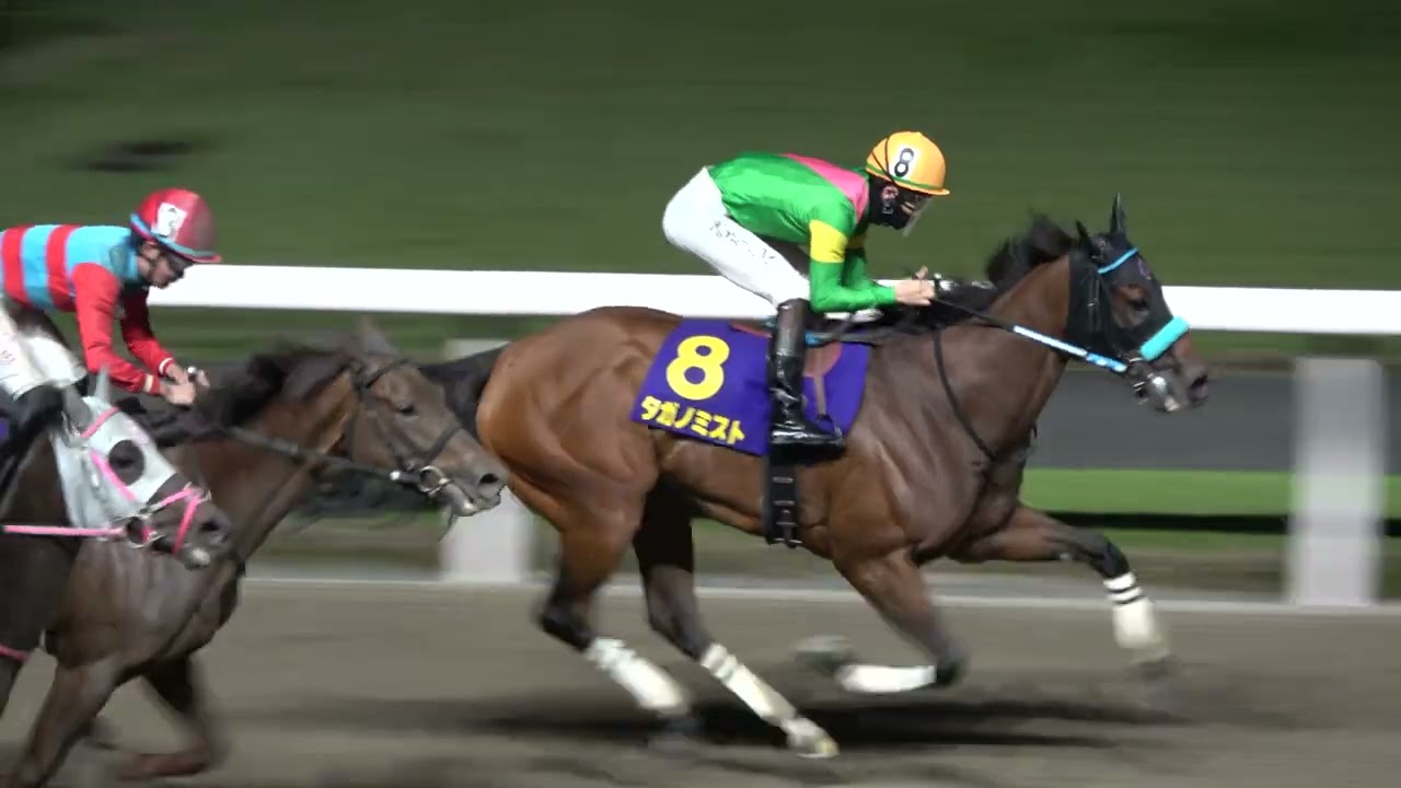 【スパーキングレディーカップ2026】タガノミストが交流重賞初勝利‼ ウイニングラン 現地映像
