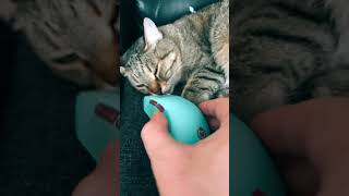 Вацошку не повезло(( #cs2 #youtubeshorts #shorts