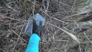 Nature Wonderland; cutting more bamboo like grass and seeing but not getting a male cricket 20260901