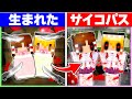 🍬サイコパスとして育てられた霊夢と魔理沙の一生🔪🔥【ゆっくり実況/まいくら/マインクラフト】