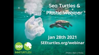 Sea Turtles & Plastic Webinar