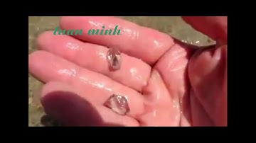 CẬN CẢNH KHAI THÁC VÀNG LỘ THIÊN Ở THÁI NGUYÊN