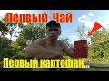 Первый картофан // Первая партия чая // Строим дровник // Жизнь в деревне