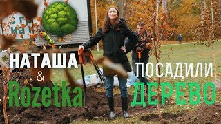 Спасибо за деревья! Финал акции «Посади дерево» с Rozetka.ua