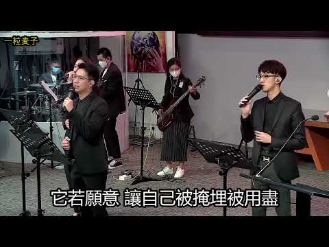 一粒麦子 - Bccm Tawau