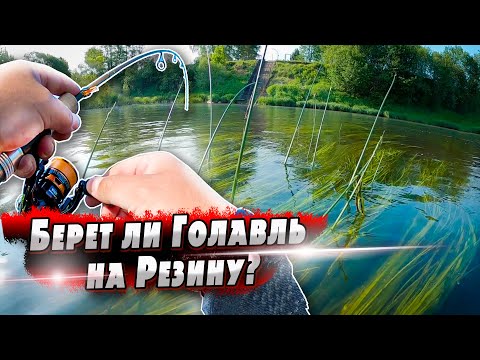 Поиск голавля на речке | Как поймать голавля на резину