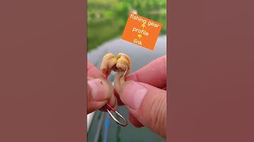 Móc lòng gà vào lưỡi câu cá