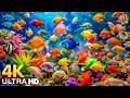 DREAM AQUARIUM 4K Marine Life Sea Animals And Coral Reef Beautiful Relaxing Music For Sleep 15 