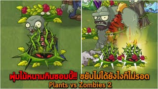 พุ่มไม้หนามกินซอมบี้ ขยับไม่ได้ยังไงก็ไม่รอด Plants vs Zombies 2