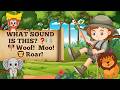 🐼 Fun Animal Noises for Babies &amp; Preschool Kids 🎉