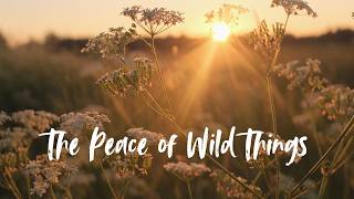 Feast of Creation: God, Soil, and Our Vocation