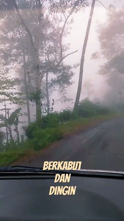 Kabut tebal dan dingin Sidomulyo Pule