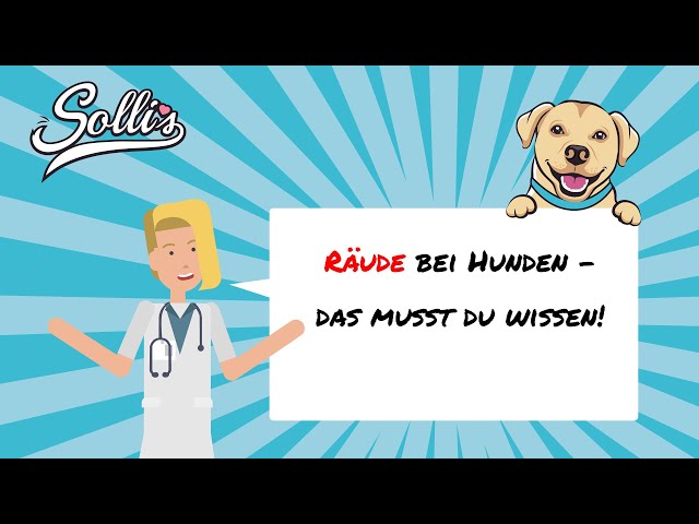 Schockierende Räude Hund Fotos: Erkennen und Vorbeugen 3 sddefault