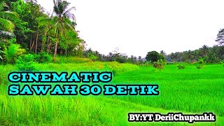 'Cinematic Sawah 30 Detik || Story Cinematic Whatsapp ||Pasirnagara