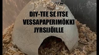 DIY-TEE SE ITSE | VESSAPAPERIMÖKKI JYRSIJÖILLE