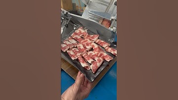 Fat beef slicer, beef and mutton slicer, frozen meat slicer