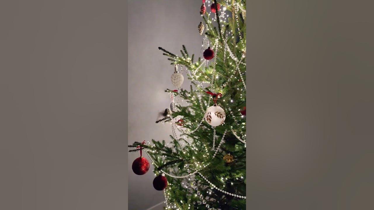 Новогодний декор 2025 food homedecor christmas christmasdecor 