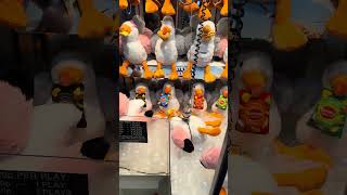 Mega Crane - 1996 Elaut Claw Machine