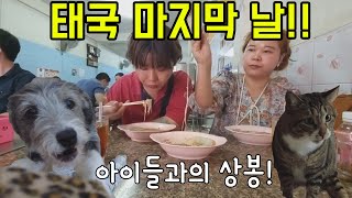 Last Day of Our Thailand Trip!! Reunited! feat. Thai Tteokbokki by 서울 부부의 귀촌일기 75,005 views 1 year ago 11 minutes, 27 seconds