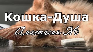 Стихотворение &quot;Кошка-Душа&quot; - Настя_Че (Анастасия М)