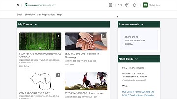 D2L Emails and Subscription Alerts