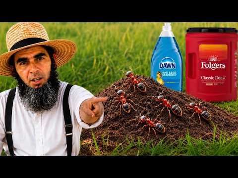 5 CRAZIEST DIY Fire Ant Killers... Do They Work?