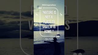Inspiring Quotes About Nature 🌊 #nature #quotes #inspiration #relaxababydeepsleep #garysnyder