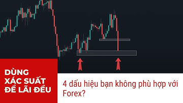 #31. Dùng XÁC SUẤT để LÃI ĐỀU - 4 dấu hiệu bạn KHÔNG PHÙ HỢP với Forex?