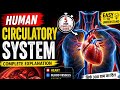 🫀 4 chambers. 1 mission. Keep you alive. #HumanHeart #Biology#10thboardpreparation
