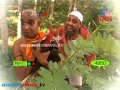 Munshi 16th June 2014