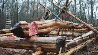 I Didn’t Think I Could Move These Logs | Building A Log Cabin By Hand Part 6