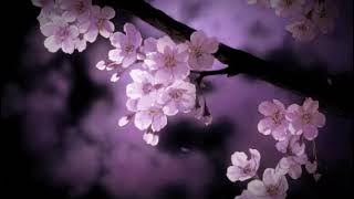 wicked game - fredrik ferrier x electric pineapple | instrumental - slowed&reverb