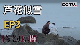 《方圆剧阵》芦花似雪 第二季 EP3 20210203 | CCTV社会与法 《方圆剧阵》芦花似雪 第二季 EP3 20210203 | CCTV社会与法