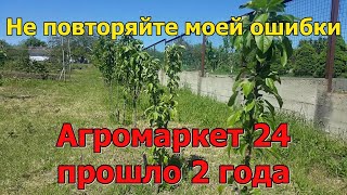 # 292 Честный отзыв об www магазине Агромаркет 24/прошло 2 года, как я купил у них саженцы.