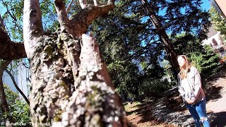 Giantess Julie And The Fly