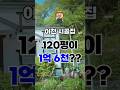 경기도 이천 귀촌 캠핑 다 가능한 토지+농막 시골집매매