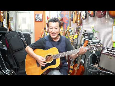 YAMAHA FG-260 12弦アコースティックギター Yamaha FG-260 12 String Acoustic Guitar - Evolution Music