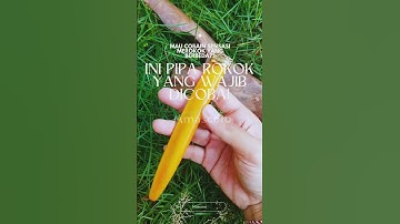 pipa tulang sapi premium #mascoro#fypシ゚viral#masukberanda
