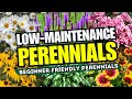 😍 Top 10 Low-Maintenance Perennial Flowers ANYONE Can Grow! - Beginner-Friendly 🌼💪