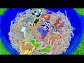 Учим Животных на английском Зебра Панда Гиппопотам Верблюд Мультики для Детей Английский для Детей