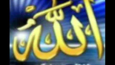 سورة الفتح - الشيخ الدوكالي