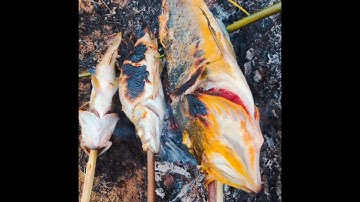 Hành trình câu Lure cá Hoàng Đế tại hồ Thác Bà#Shorts