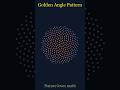 Golden Angle Pattern #GoldenAngle #Fibonacci #GoldenRatio#NatureMath #SpiralPattern #MathAnimation